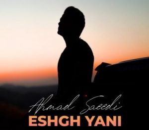 Ahmad Saeedi Eshgh Yani asanmusic 300x263 - دانلود آهنگ احمد سعیدی به نام عشق یعنی