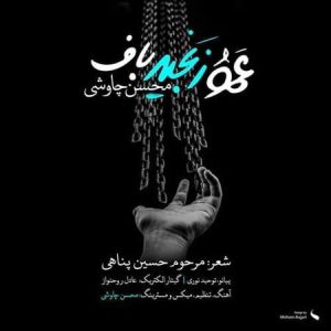 Mohsen Chavoshi Amoo Zanjir baf 300x300 - دانلود آهنگ محسن چاوشی به نام عمو زنجیرباف